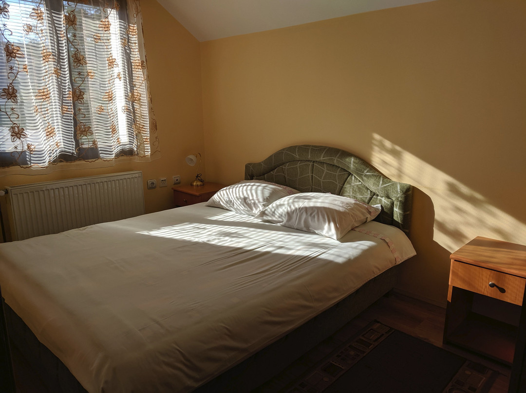 Apartments Popovic主图