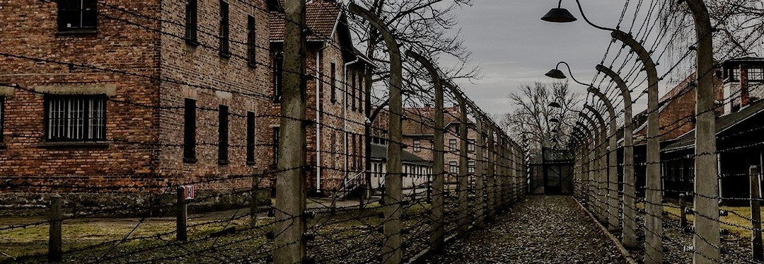 Auschwitz Tour - Krakow Discovery-克拉科夫必去景点