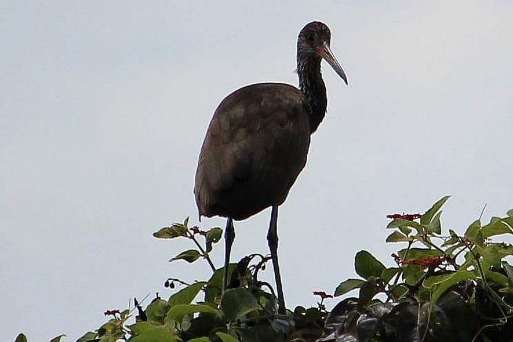 Alter Beach Turismo-Alter do Chao必去景点