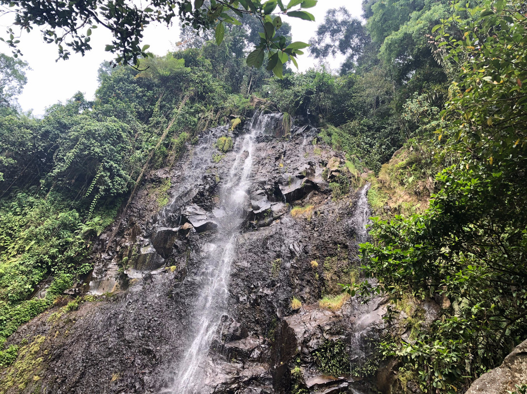 Cigamea Waterfall景点图片