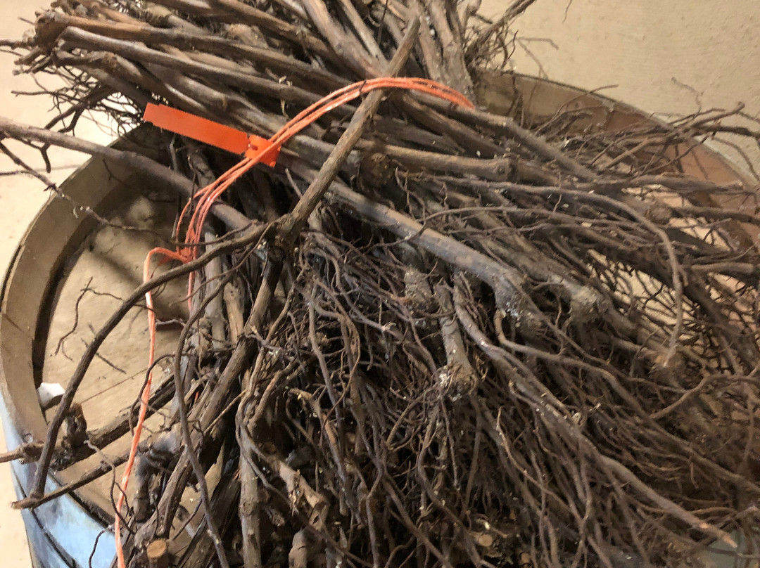 Berryessa Gap Vineyards (Winery)-Winters必去景点