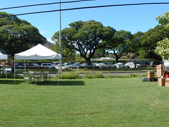 Aloha Market at Waikiki-火奴鲁鲁必去景点