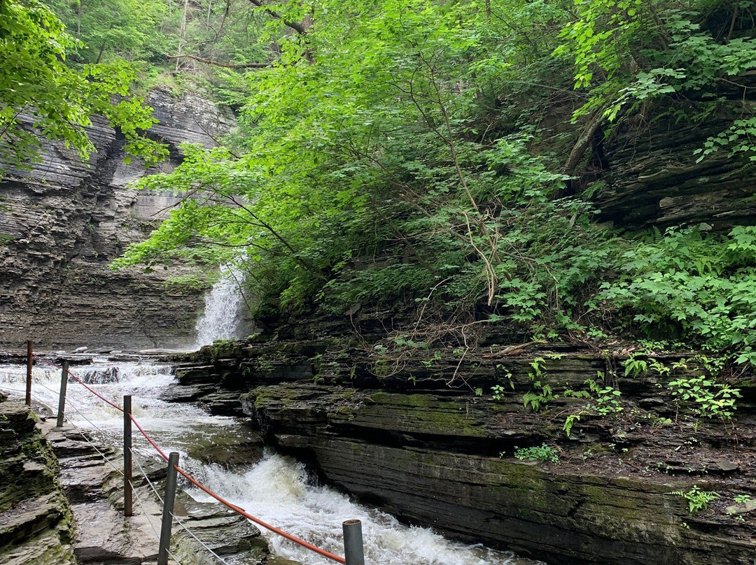 Havana Glen Park景点图片