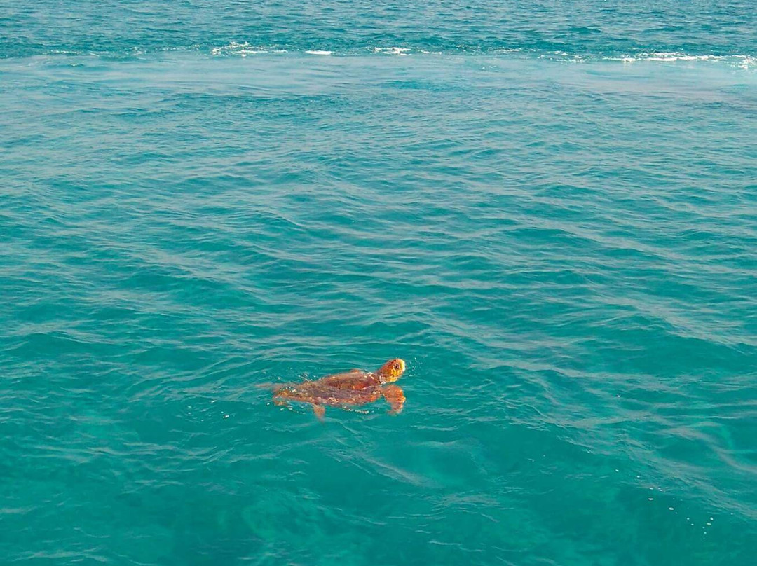 Mythos Boat Tours-Argassi必去景点