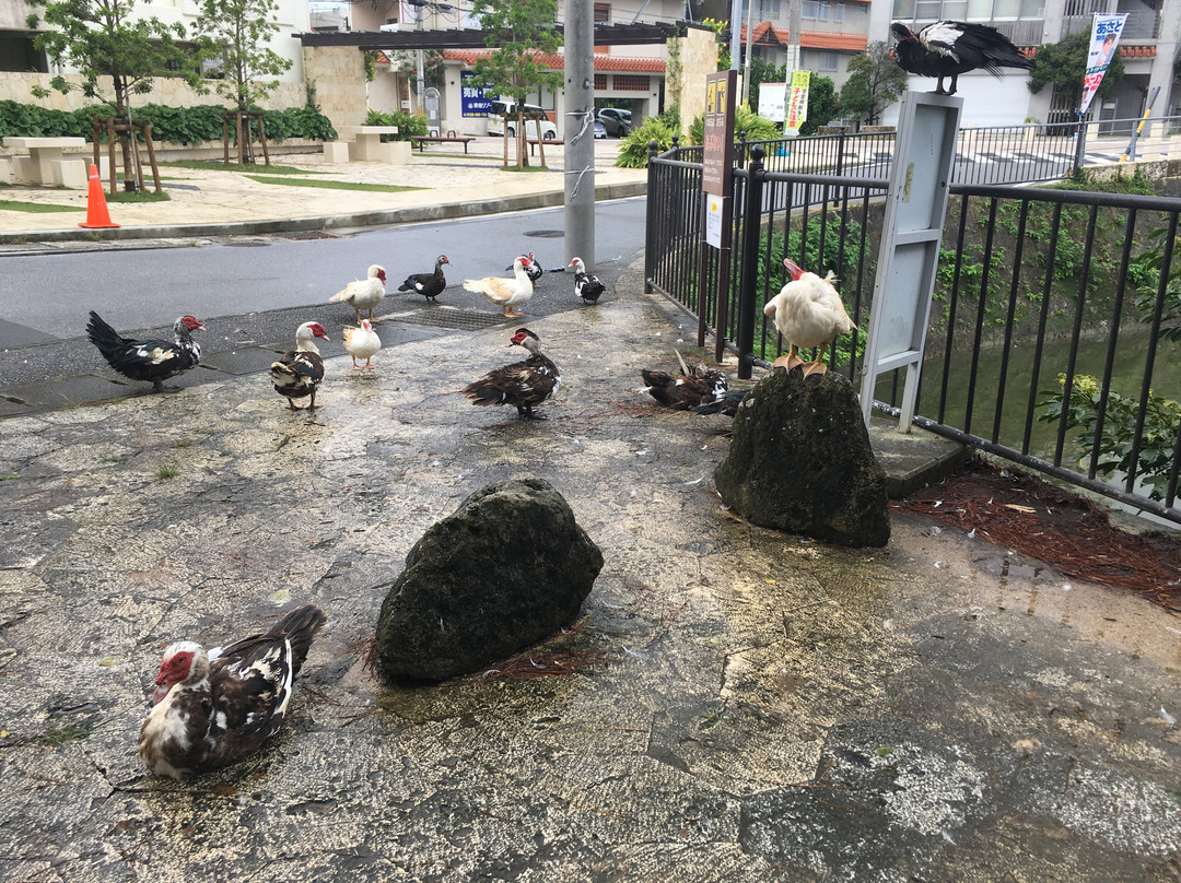 龙潭-那霸市必去景点