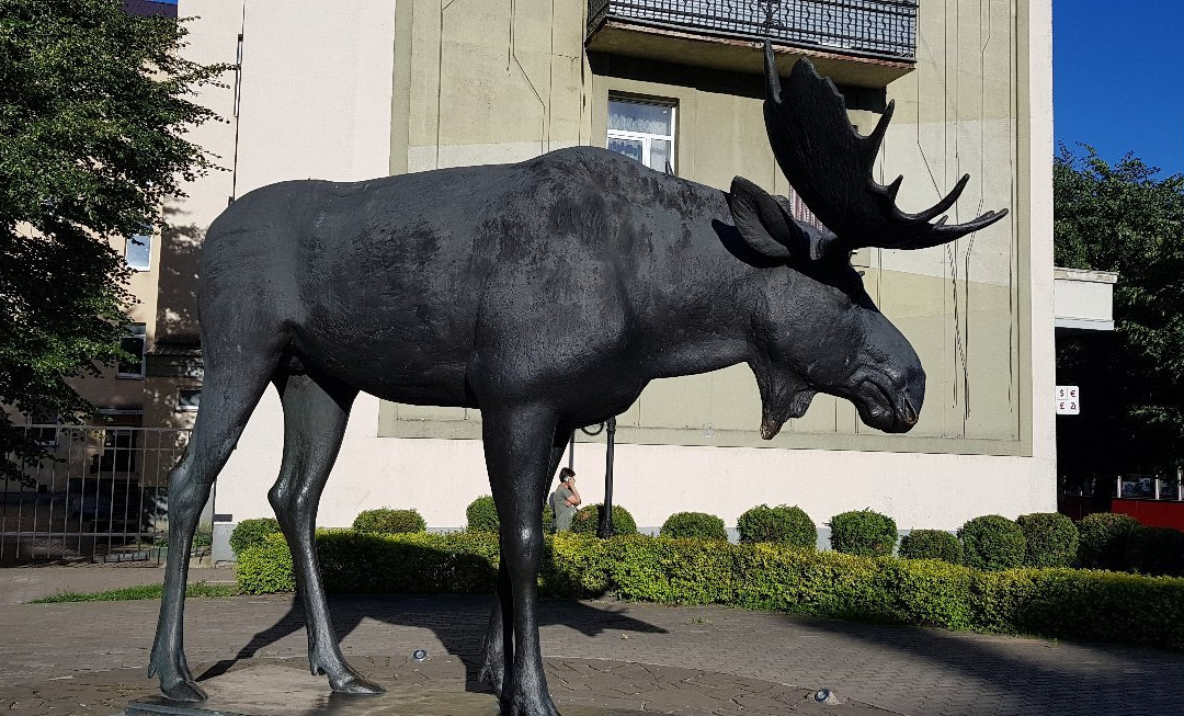 Moose Sculpture景点图片