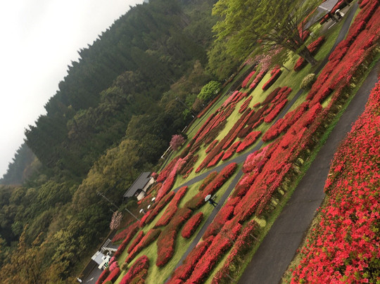 Shiibae Park-三股町必去景点