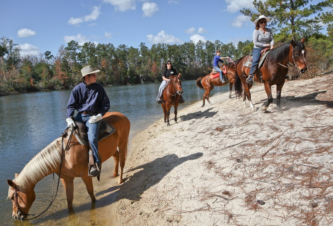 Splendor Farms-Bush必去景点