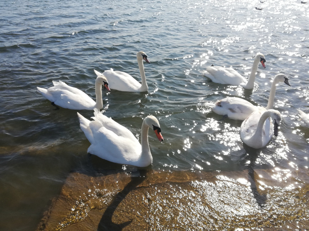 Queen Elizabeth II Country Park-Ashington必去景点