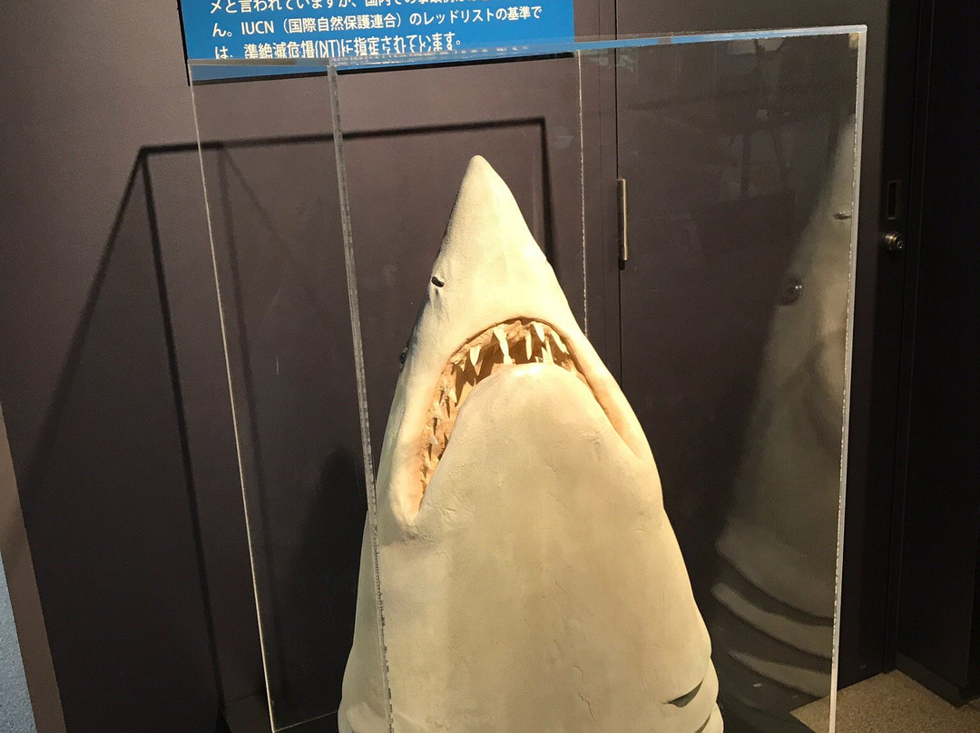 Hyogo Prefectural Operated Human and Nature Museum-三田市必去景点