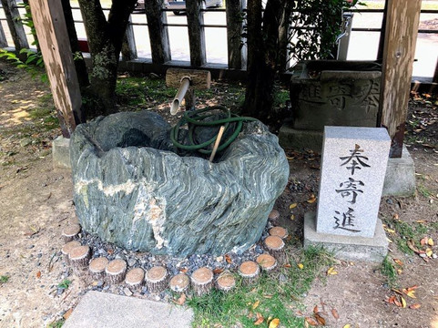 Suga Shrine-须崎市必去景点