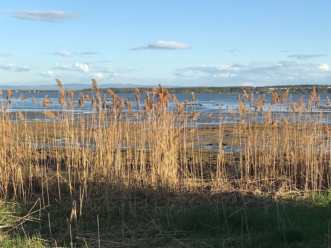 Église de Saint-Joseph-de-la-Rive-Saint-Joseph-de-la-Rive必去景点