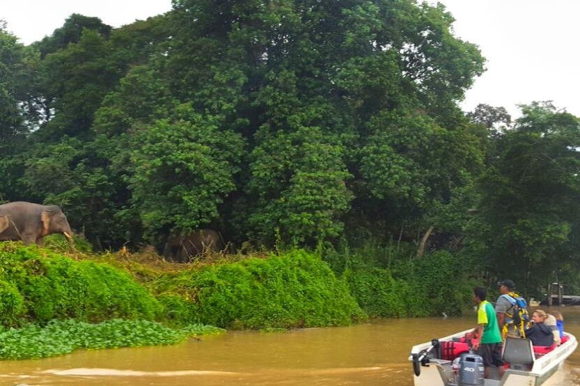 BORNEO NATURE LODGE-苏高必去景点