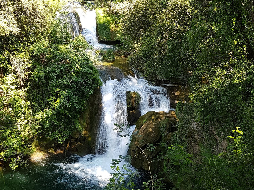Lac de Carcès景点图片