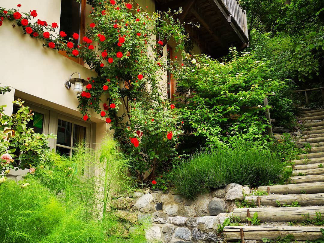 焦糖住宅酒店主图