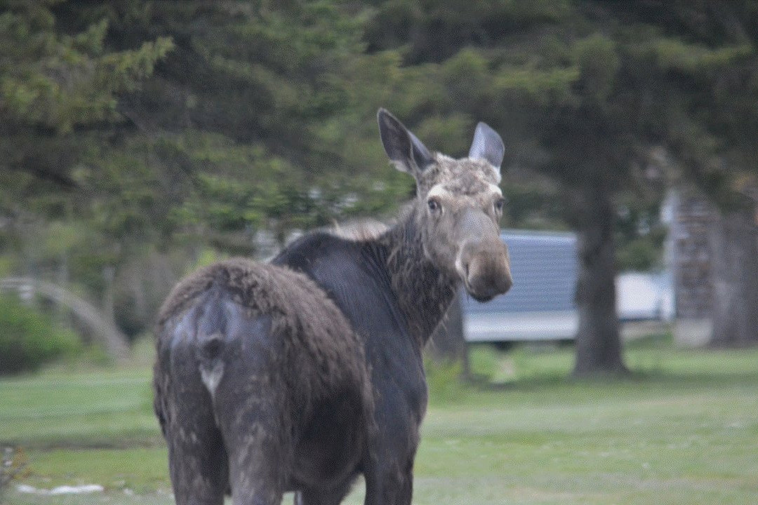 Dan's Scenic Tours - Private Tours-Gorham必去景点