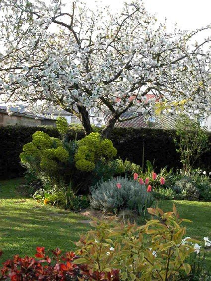 Chambres d'Hôtes des Agrumes主图