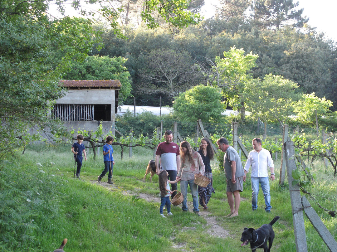 Quinta de Louredo-Marco de Canaveses必去景点
