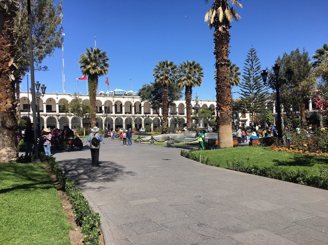 Los Leones Hotel Boutique主图