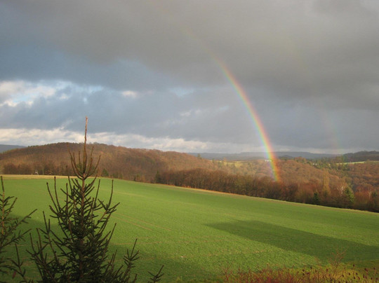 Alternative Tours & Events-布加勒斯特必去景点