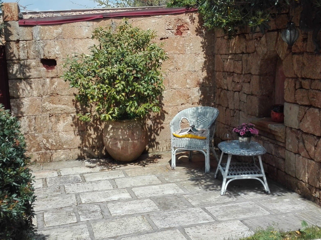 Tenuta Il Grifo主图