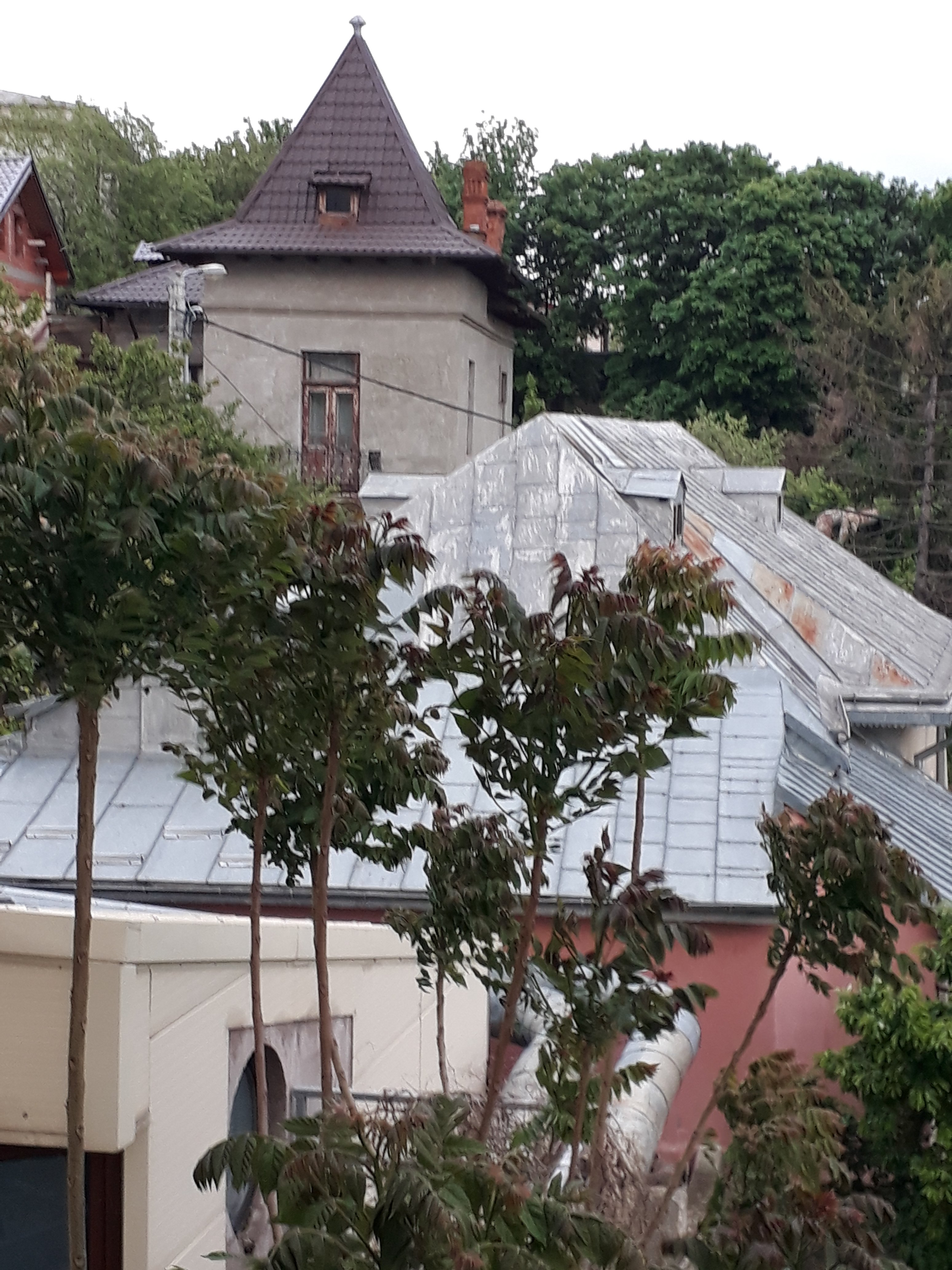 Majestic Hotel & Restaurant-酒店景观