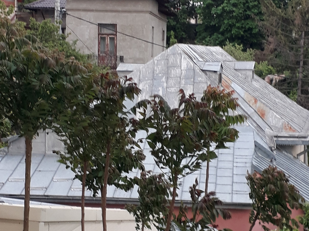 Majestic Hotel & Restaurant主图