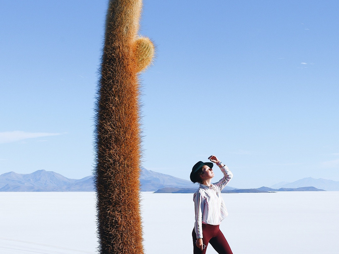 Isla Incahuasi-乌尤尼必去景点