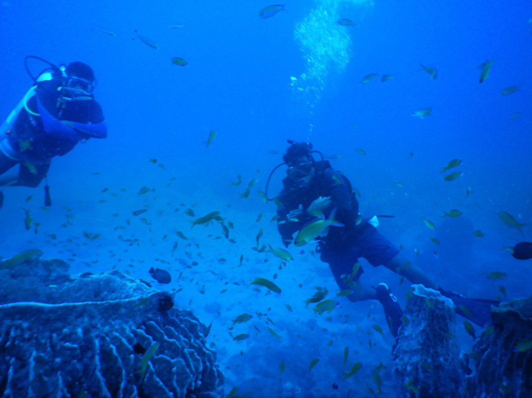 Scuba Adventures景点图片