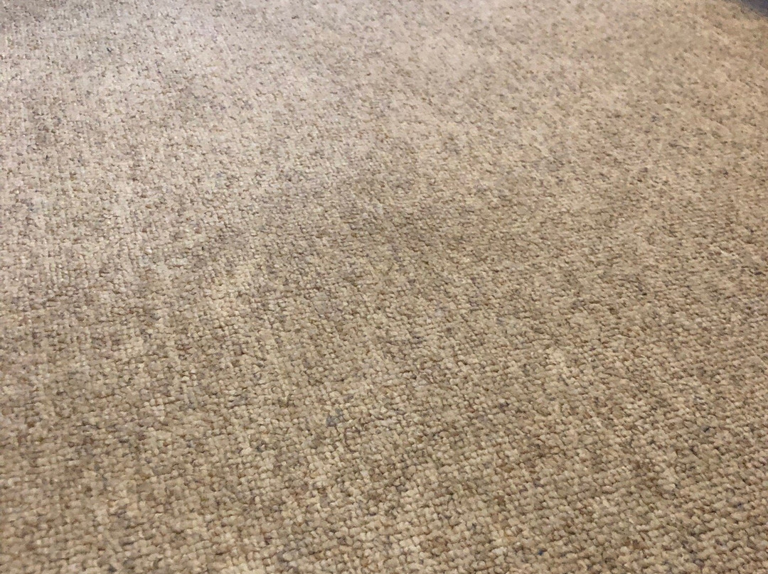 Hotel Sandplacken主图