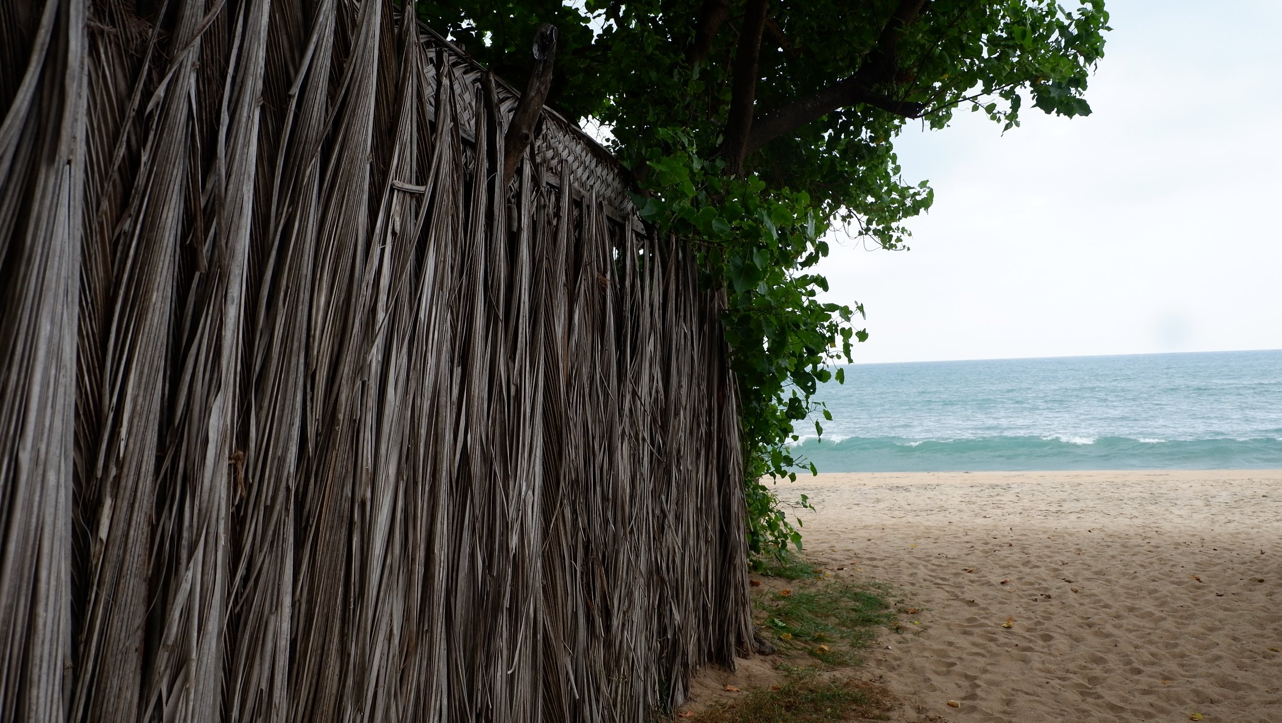 Arugambay Beach and Lagoon-官方