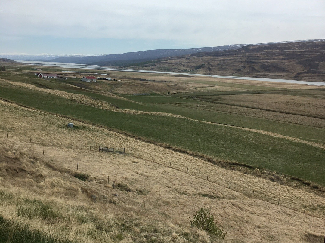 Snaefellsstofa Visitor Center-埃伊尔斯塔济必去景点