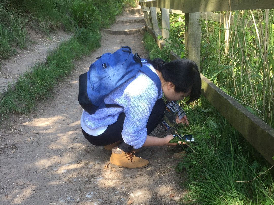 Thurstaston Visitor Centre-Thurstaston必去景点