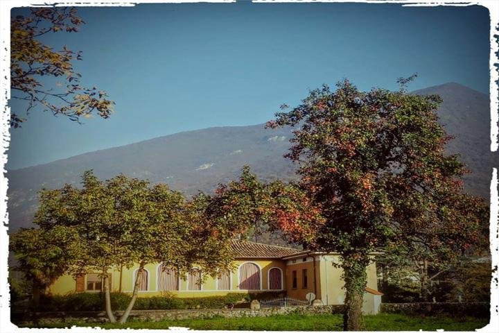 Monte Dragone Dolls景点图片