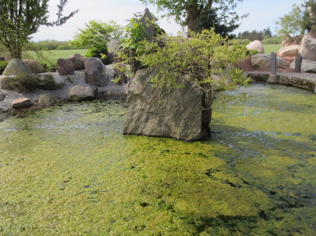 Olsens Paradis-Norre Vejrup必去景点