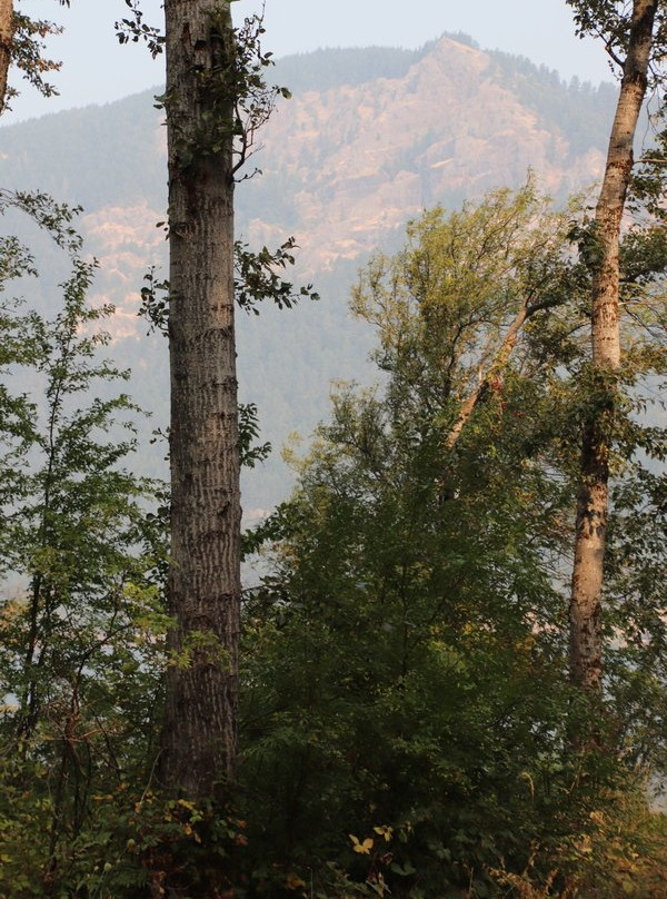 Viento State Park-Cascade Locks必去景点