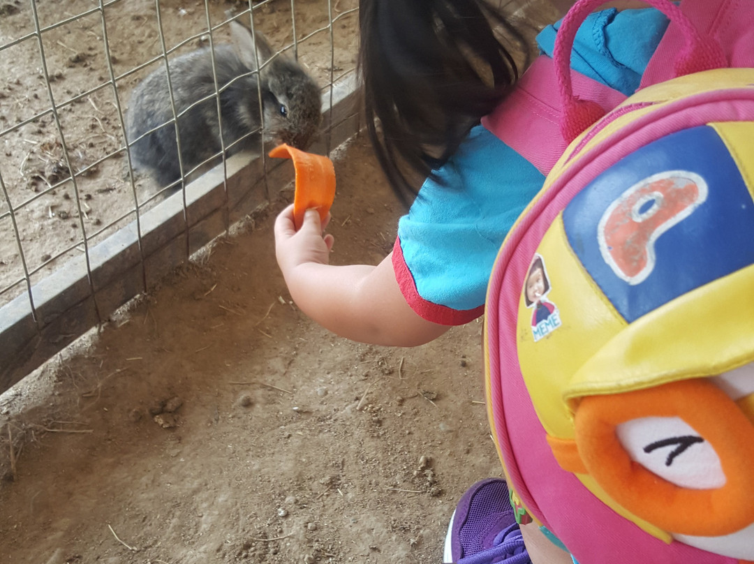 Hidden Village Chiangmai-清迈必去景点