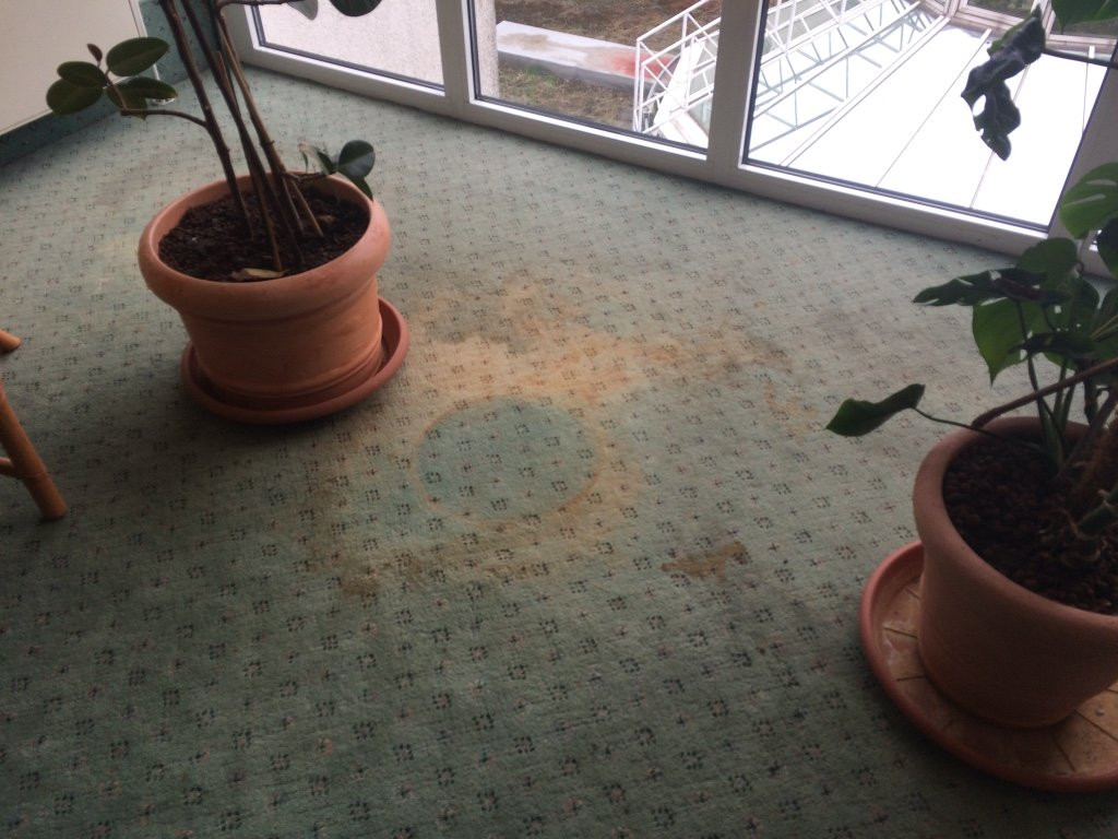 魏玛雷迪森公园酒店主图