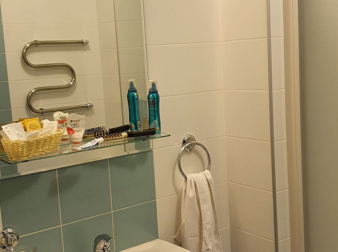 Petrovsky Hotel主图