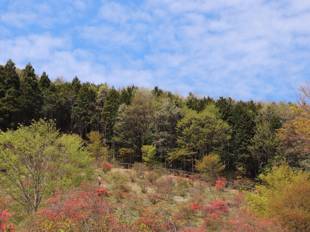 Jupia Land Hirata景点图片