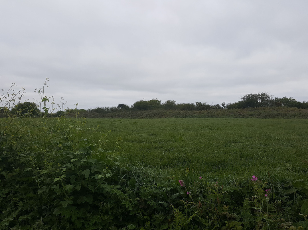 Egloshayle to Dinham Bridge-Wadebridge必去景点