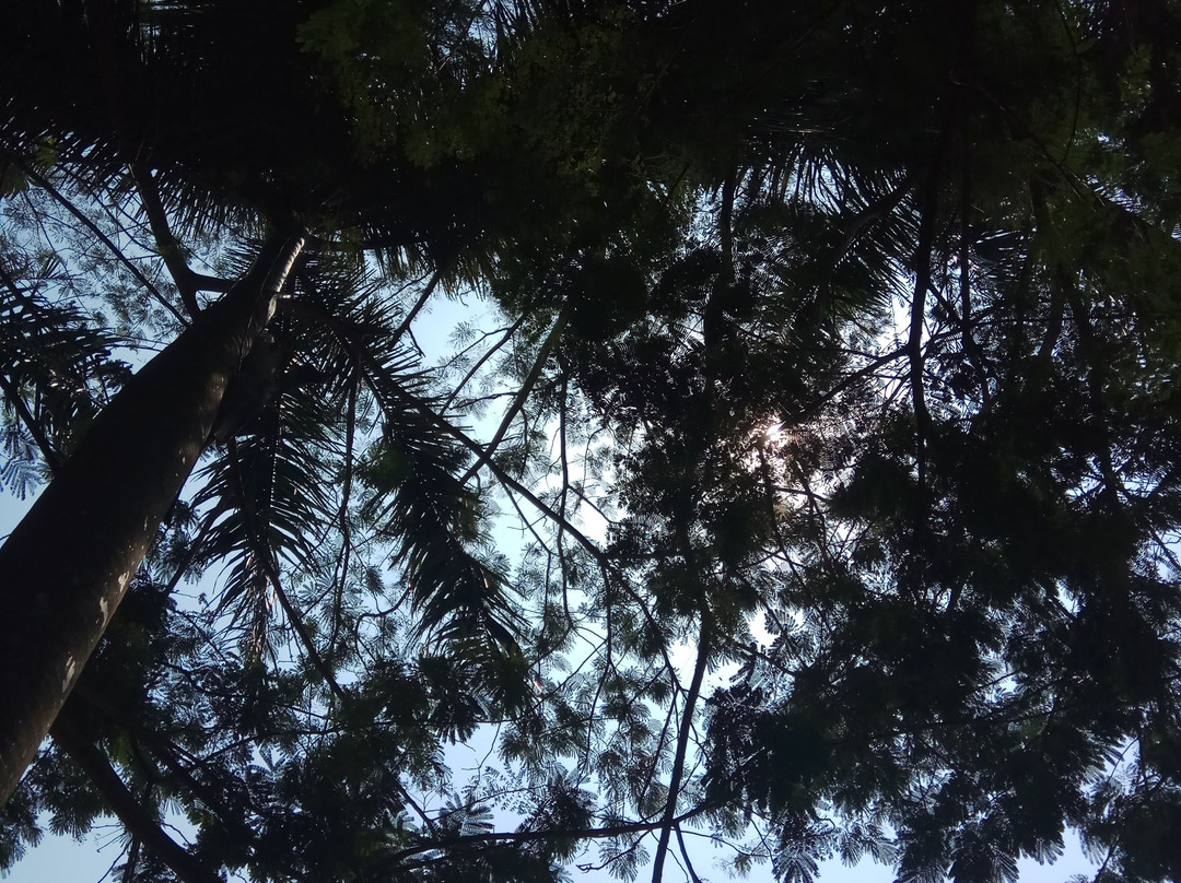 Taman Kota 2 BSD-塞尔彭必去景点