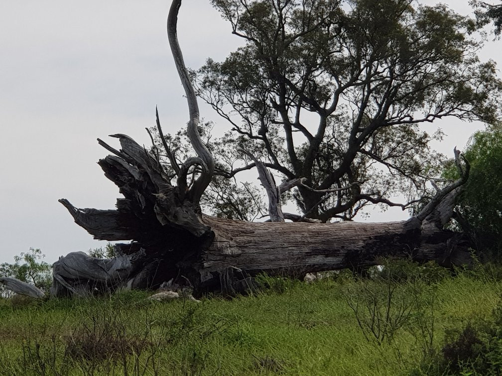 Scone旅游景点-Scone Mountain National Park