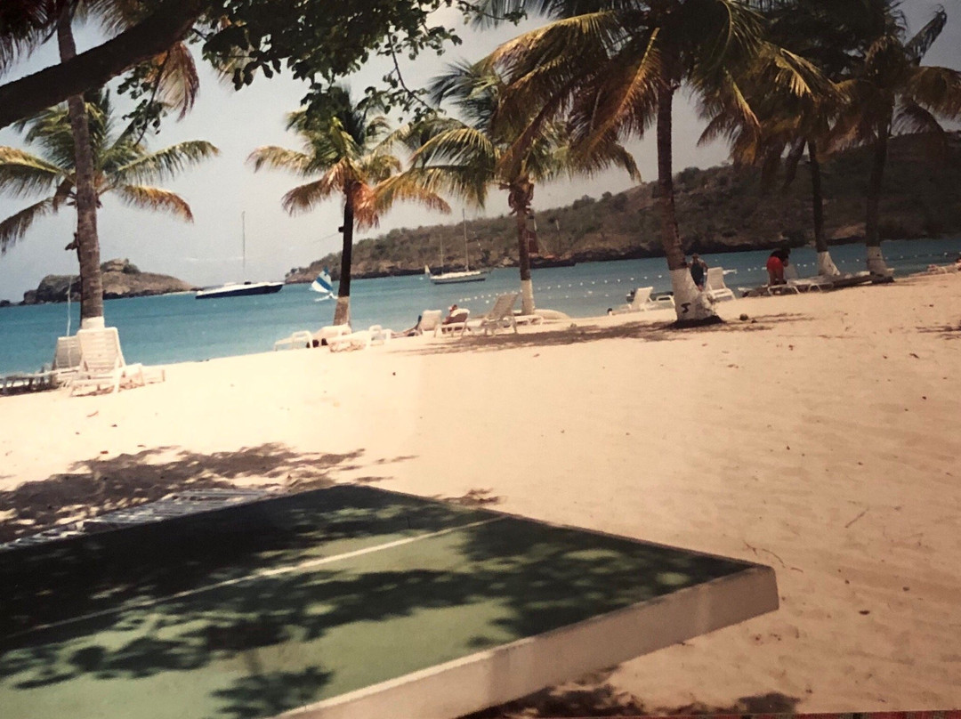 Jabberwock Beach-圣 约翰必去景点