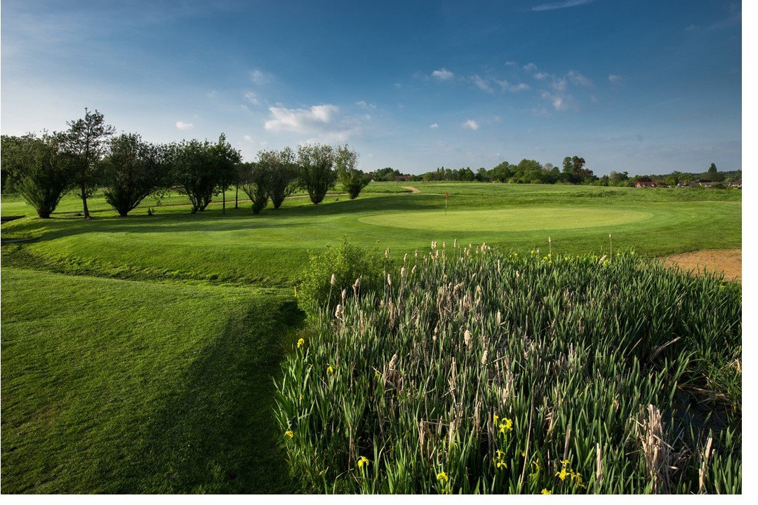 Wickham Park Golf Club景点图片