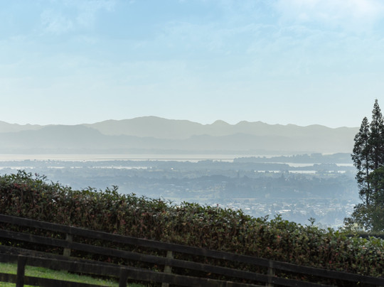 Tauranga Lodge主图