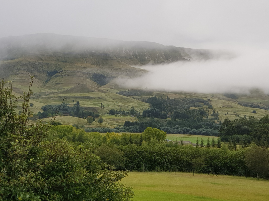 Silver Hill Lodge主图