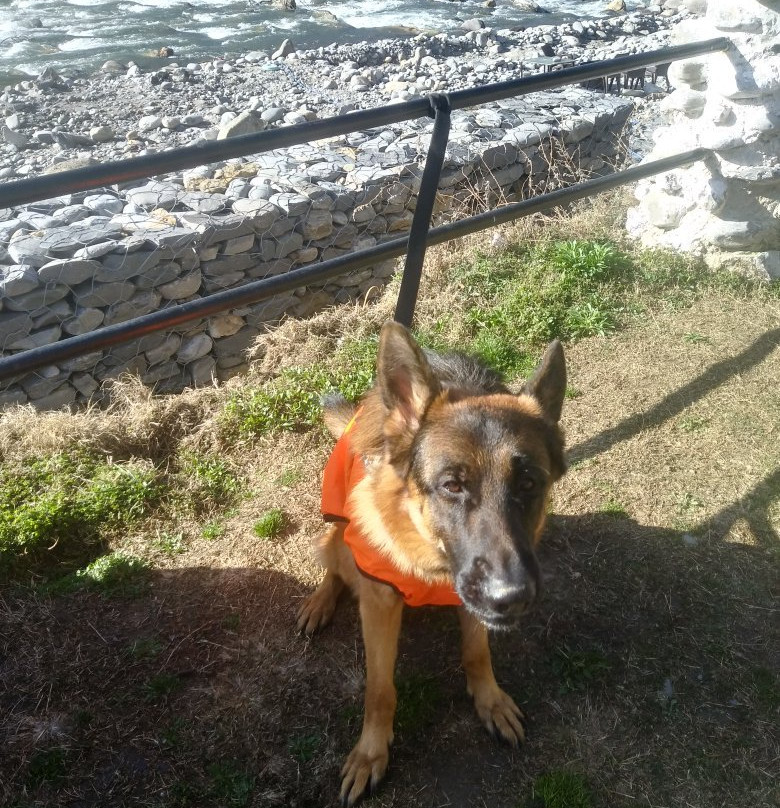 Pubber River Camps主图