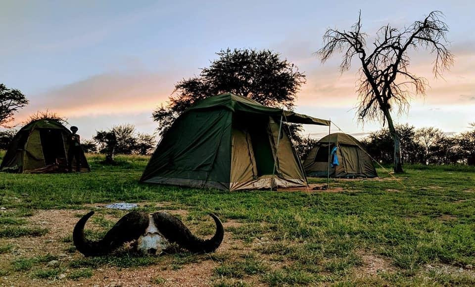 Trekking and Safaris for Charity-莫西必去景点