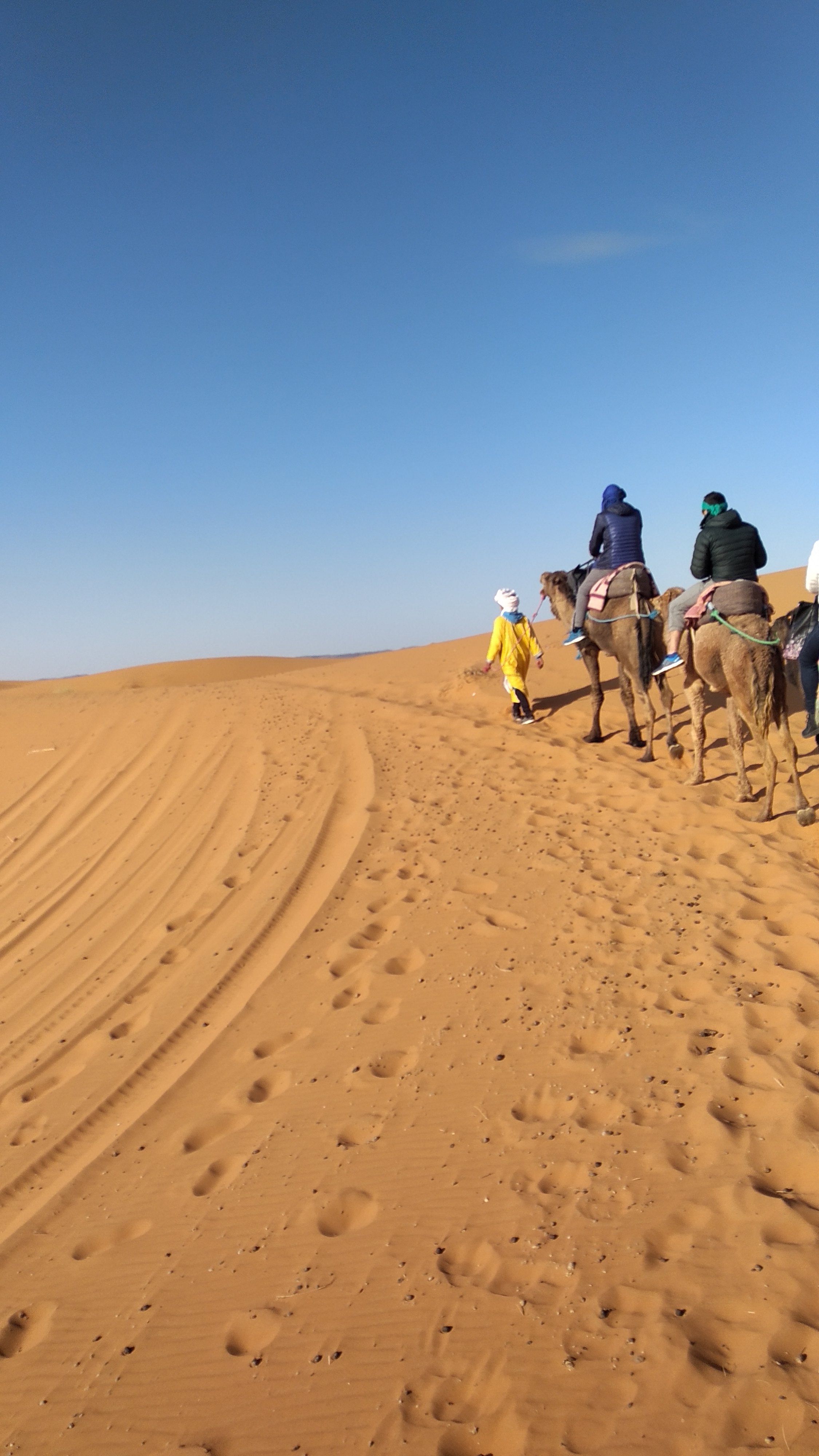 Auberge Kasbah La Rose De Sable-官方